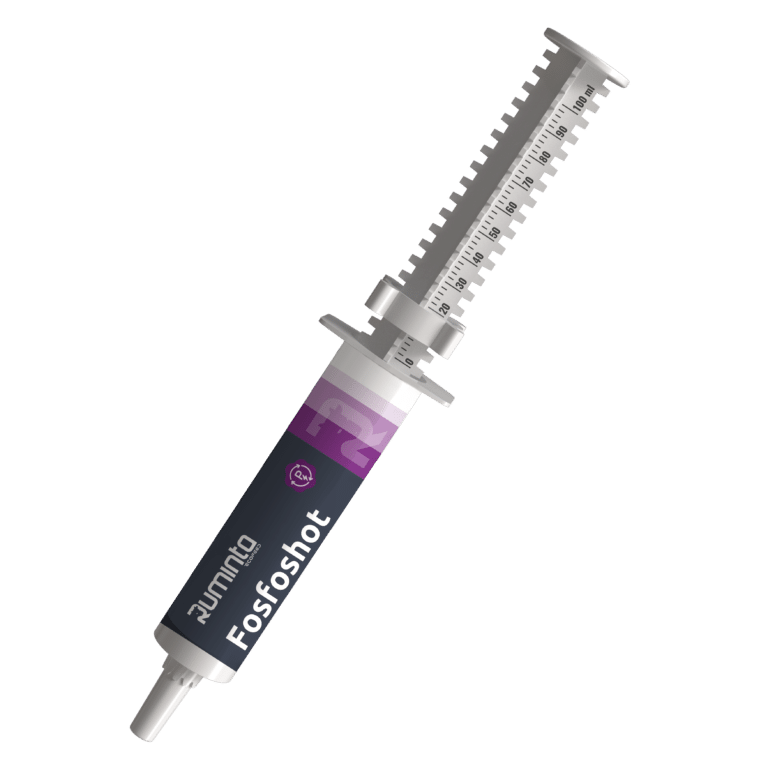 Fosfoshot - strzykawka