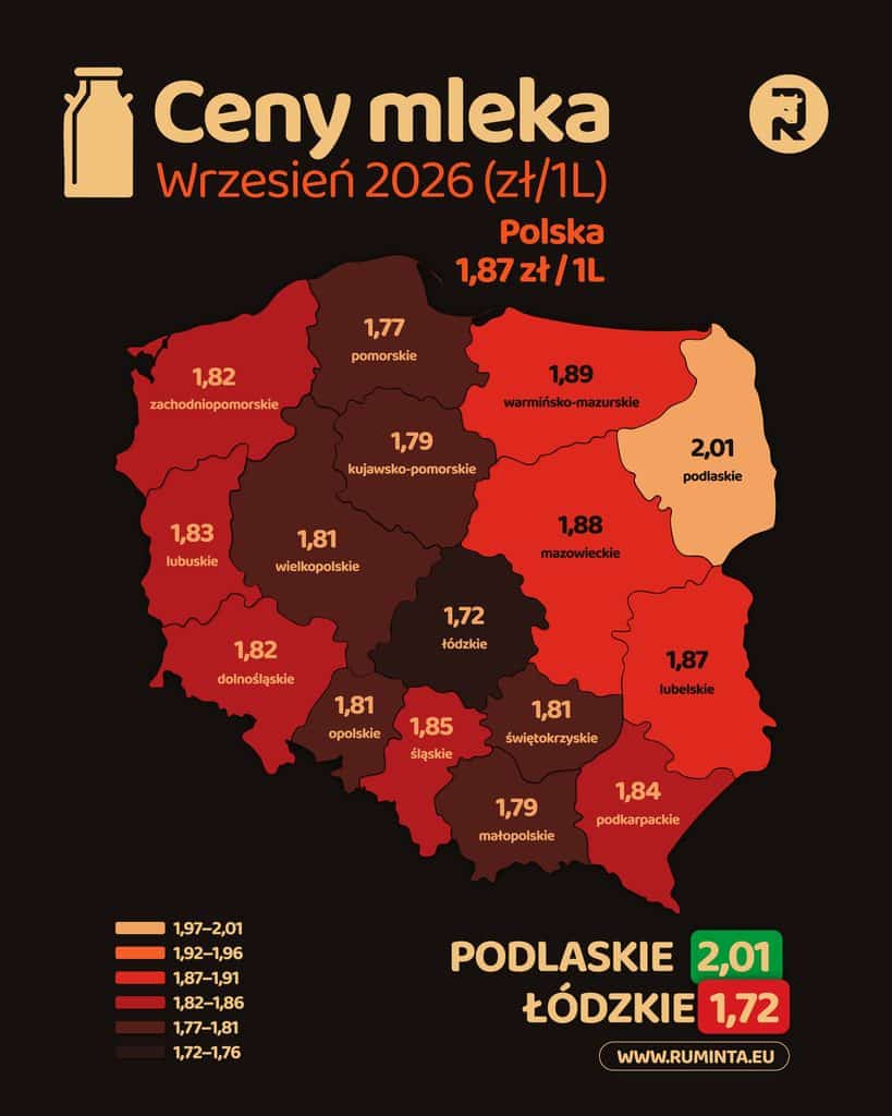 Ceny mleka we wrześniu 2026 roku. Podwyżki we wszystkich województwach 1 Ceny mleka Wrzesien 2026 PL 05