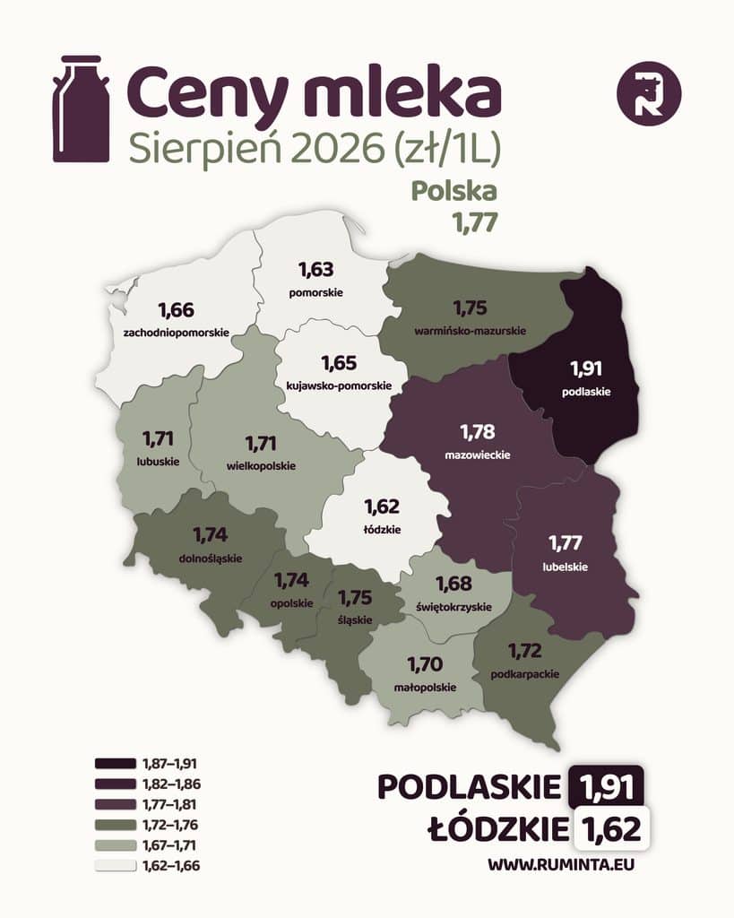 Milk prices in August 2026: rebound after several months of decline 1 POLSKA sierpien 2026 01