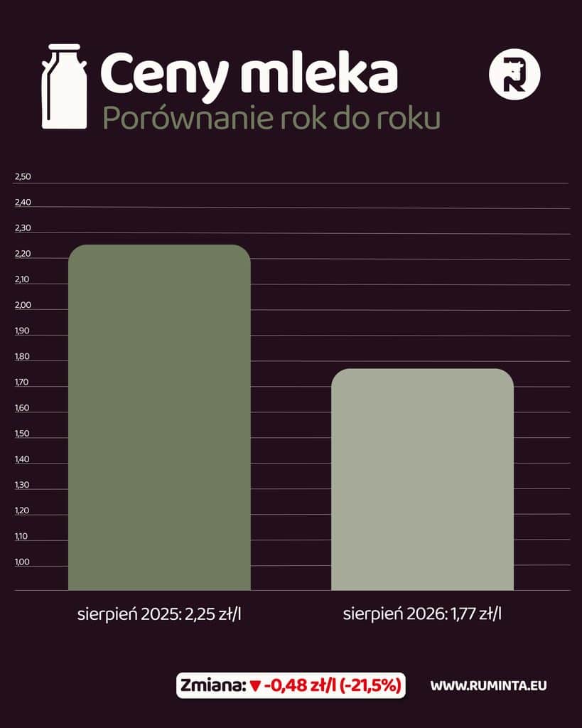 Milk prices in August 2026: rebound after several months of decline 3 POLSKA sierpien 2026 03