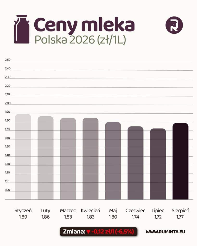 Milk prices in August 2026: rebound after several months of decline 4 POLSKA sierpien 2026 04
